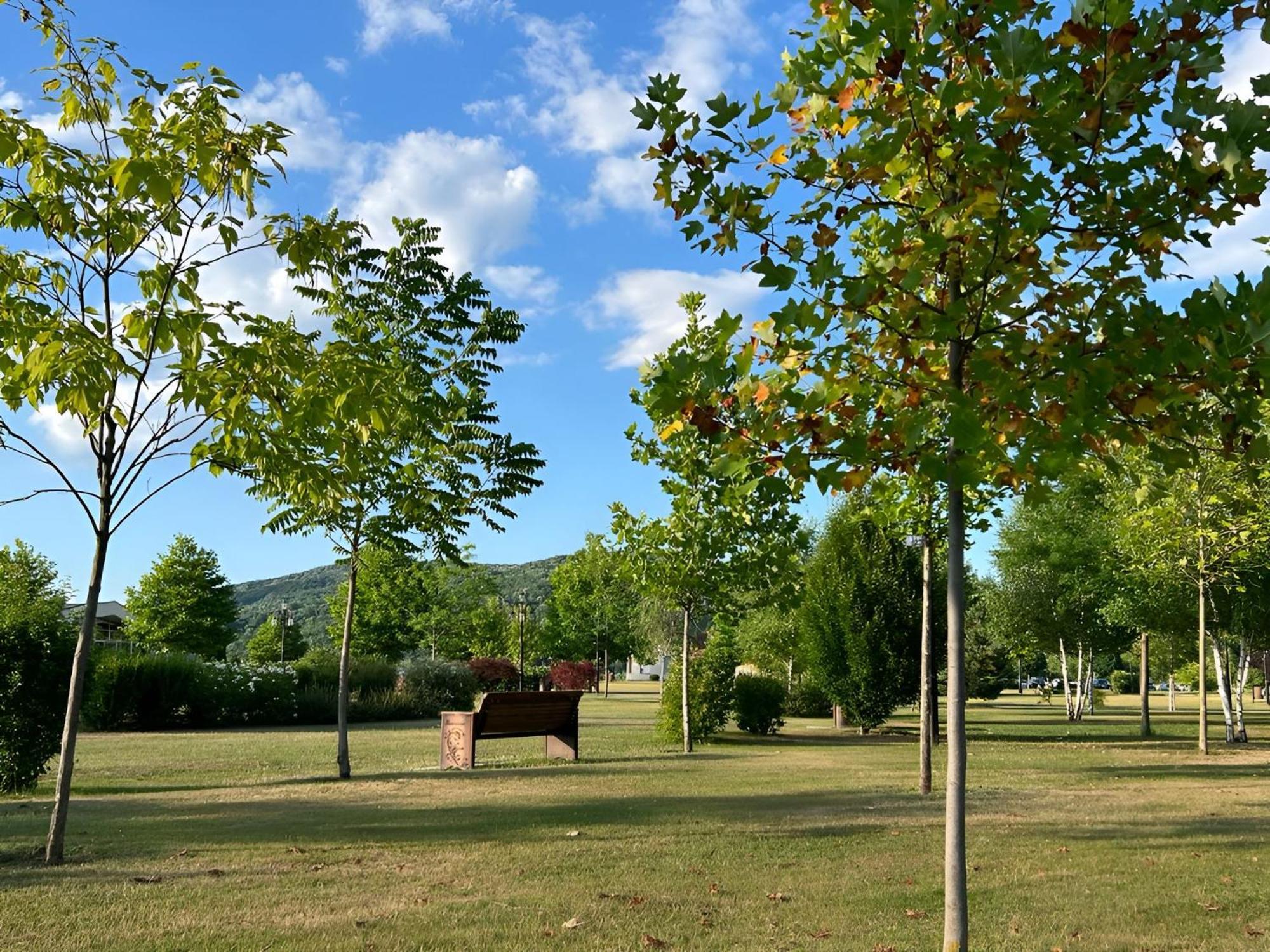 Vila Cu Mesteceni Câmpina Kültér fotó
